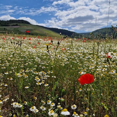 Das Rote Ferienhaus Terlinden Lieser Εξωτερικό φωτογραφία