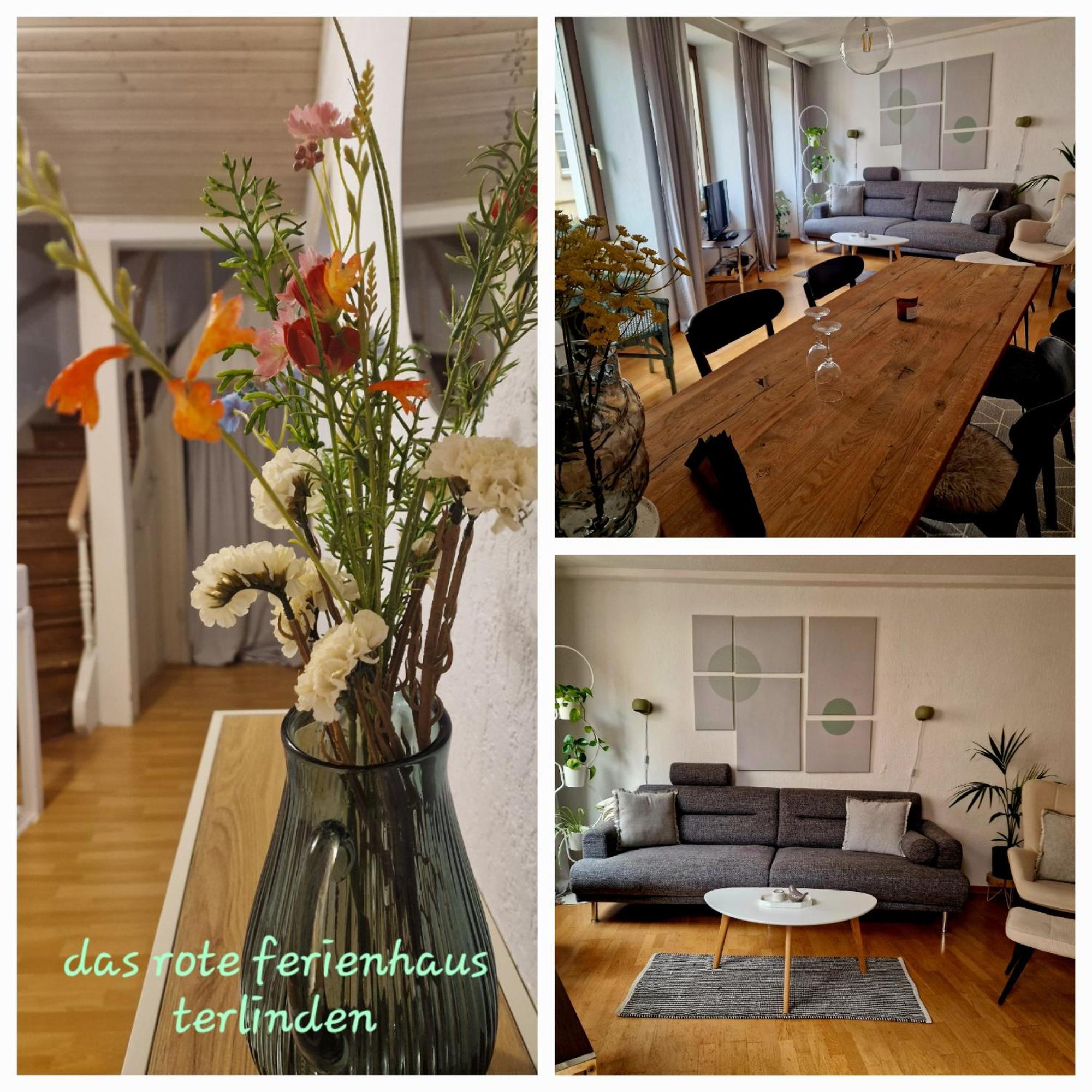 Das Rote Ferienhaus Terlinden Lieser Εξωτερικό φωτογραφία